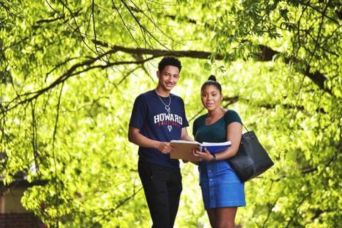 Male and female students posing for a pic under a tree with green leaves