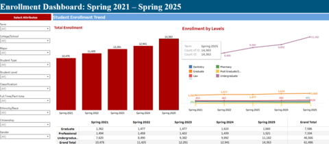 Spring Enrollment Dashboard preview